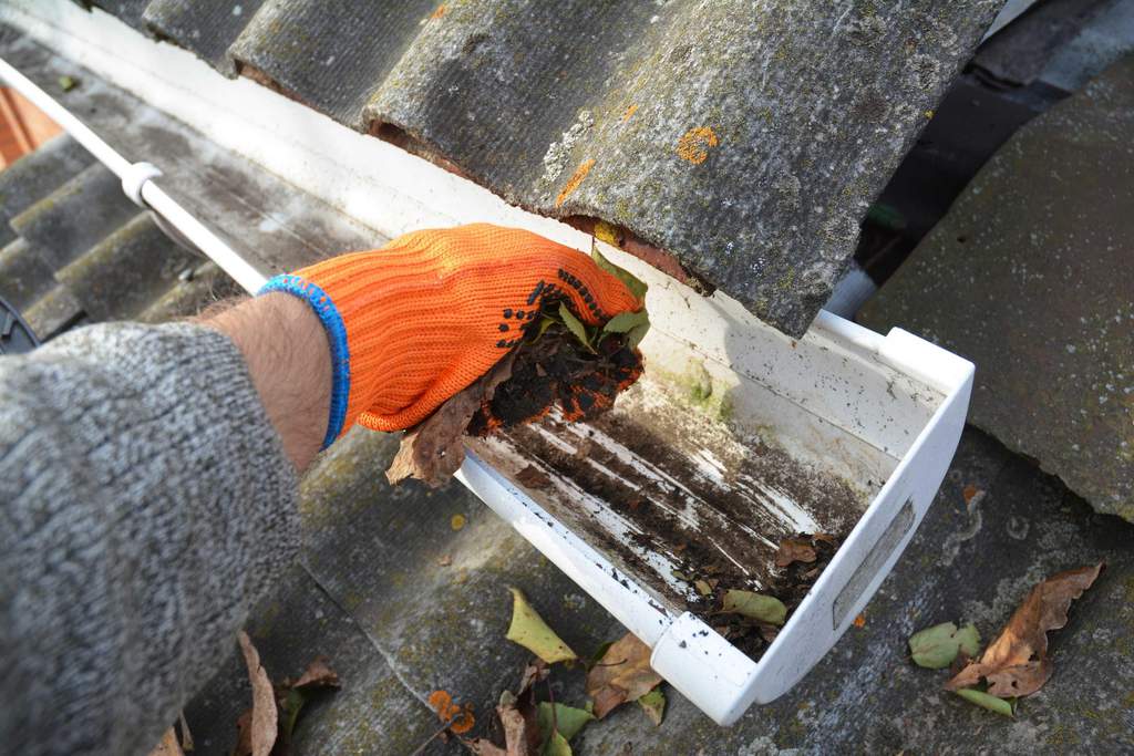 Gutter Cleaning Services in North Kansas City